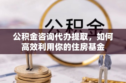 大埤公积金咨询代办提取，如何高效利用你的住房基金