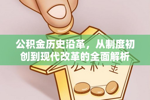 大埤公积金历史沿革，从制度初创到现代改革的全面解析