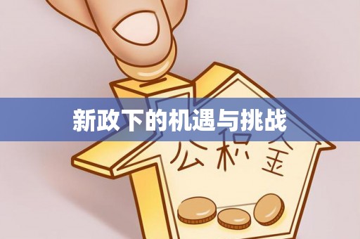 大埤新政下的机遇与挑战