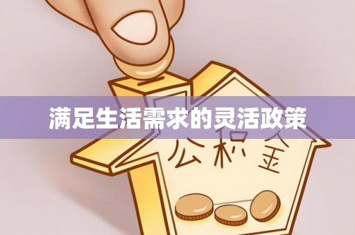 大埤满足生活需求的灵活政策