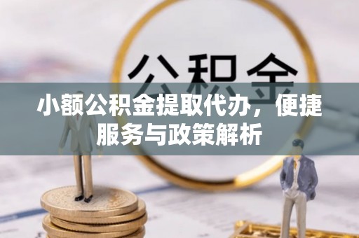 大埤小额公积金提取代办，便捷服务与政策解析