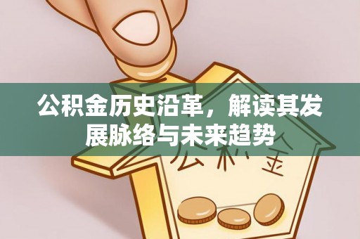 大埤公积金历史沿革，解读其发展脉络与未来趋势