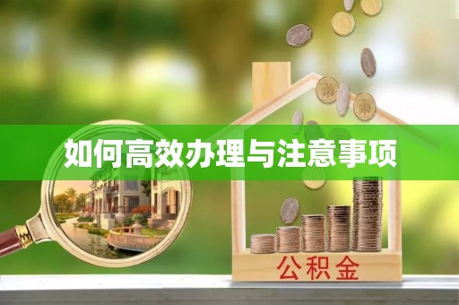 大埤如何高效办理与注意事项