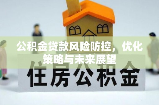 大埤公积金贷款风险防控，优化策略与未来展望