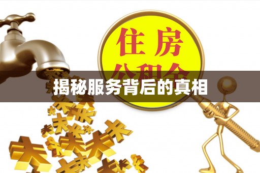 大埤揭秘服务背后的真相