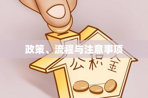 大埤政策、流程与注意事项