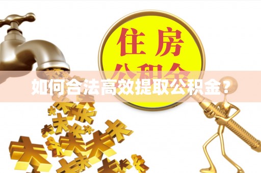 大埤如何合法高效提取公积金？