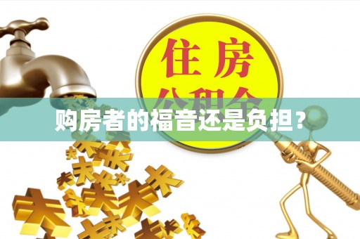 大埤购房者的福音还是负担？