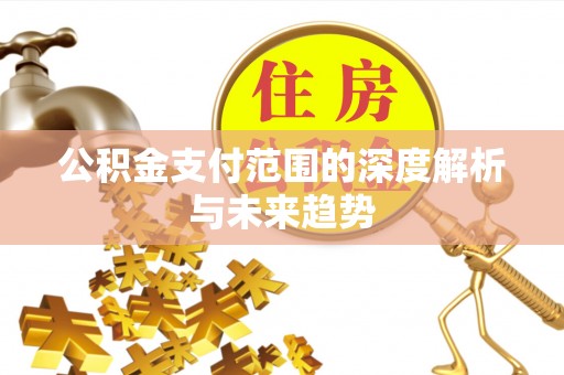 大埤公积金支付范围的深度解析与未来趋势