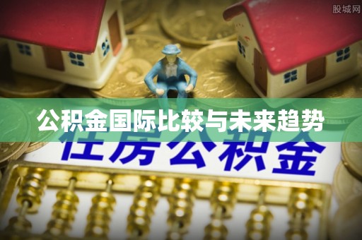 大埤公积金国际比较与未来趋势