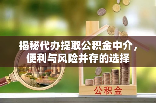 大埤揭秘代办提取公积金中介，便利与风险并存的选择
