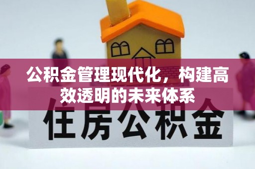 大埤公积金管理现代化，构建高效透明的未来体系