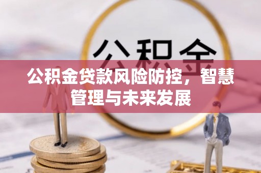 大埤公积金贷款风险防控，智慧管理与未来发展