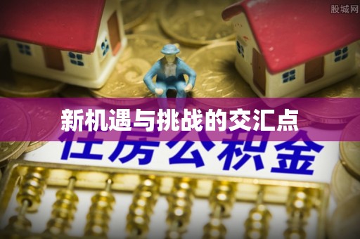 大埤新机遇与挑战的交汇点