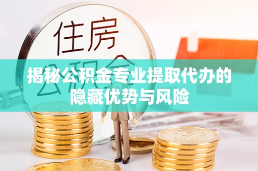 大埤揭秘公积金专业提取代办的隐藏优势与风险