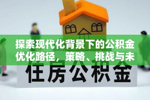 大埤探索现代化背景下的公积金优化路径，策略、挑战与未来展望