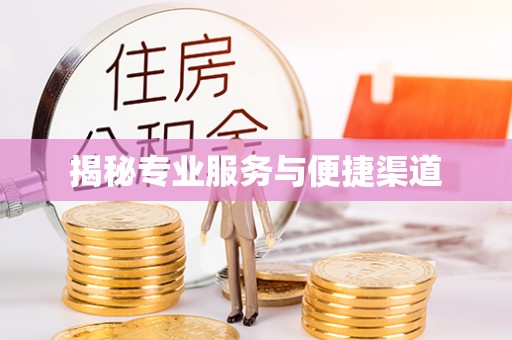 大埤揭秘专业服务与便捷渠道