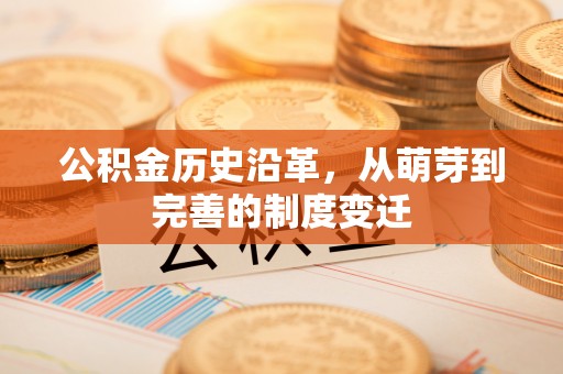 大埤公积金历史沿革，从萌芽到完善的制度变迁
