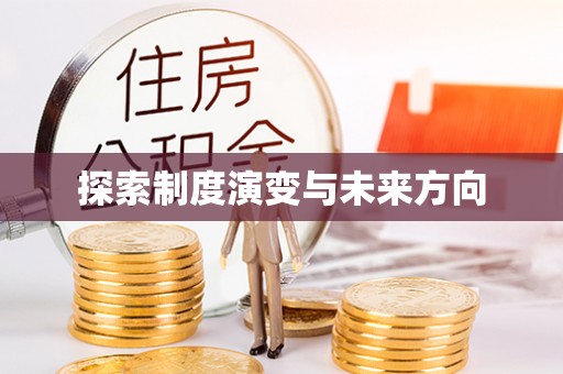大埤探索制度演变与未来方向