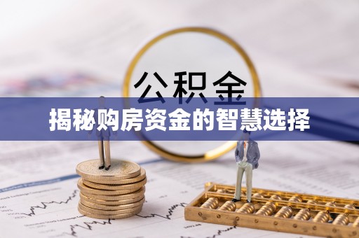 大埤揭秘购房资金的智慧选择