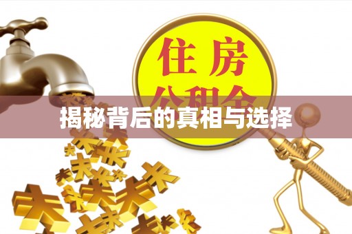 大埤揭秘背后的真相与选择