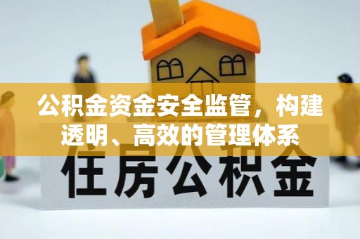 大埤公积金资金安全监管，构建透明、高效的管理体系