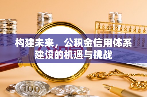 大埤构建未来，公积金信用体系建设的机遇与挑战