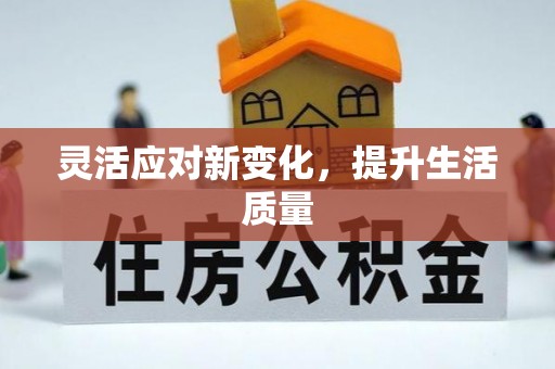 大埤灵活应对新变化，提升生活质量