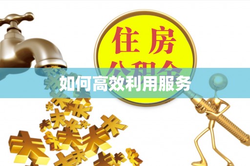 大埤如何高效利用服务