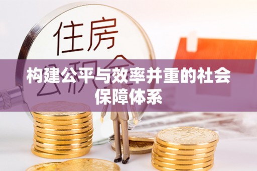 大埤构建公平与效率并重的社会保障体系