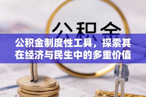 大埤公积金制度性工具，探索其在经济与民生中的多重价值