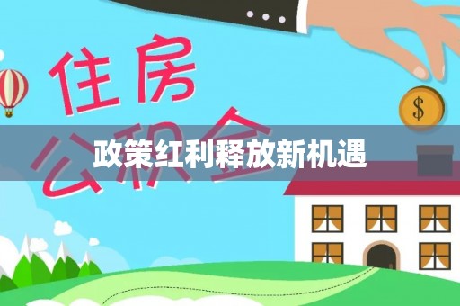大埤政策红利释放新机遇