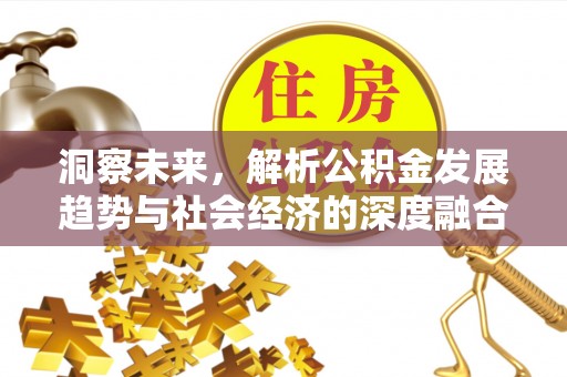大埤洞察未来，解析公积金发展趋势与社会经济的深度融合
