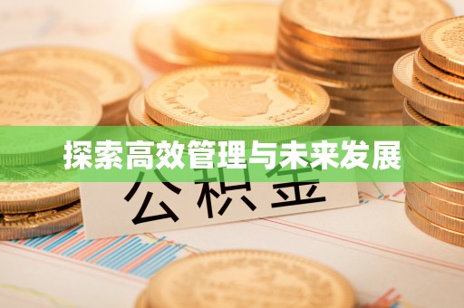 大埤探索高效管理与未来发展