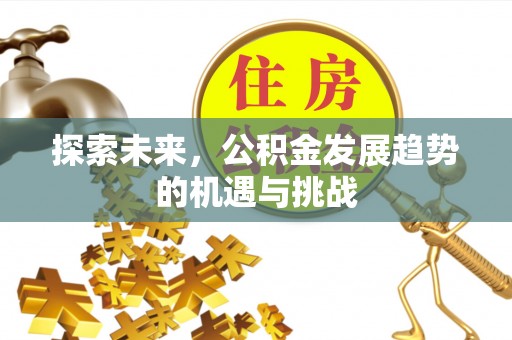 大埤探索未来，公积金发展趋势的机遇与挑战