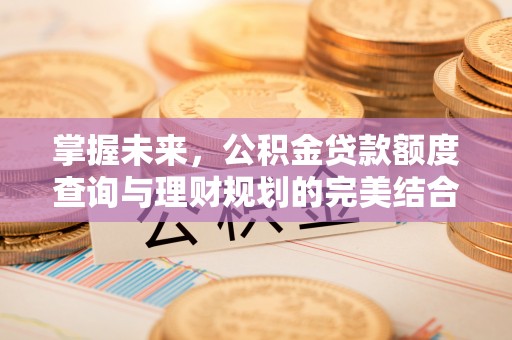 大埤掌握未来，公积金贷款额度查询与理财规划的完美结合