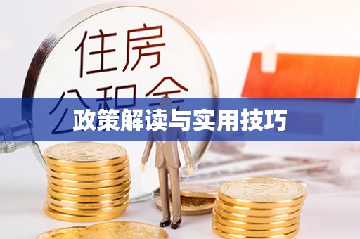 大埤政策解读与实用技巧