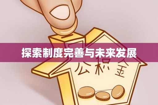 大埤探索制度完善与未来发展