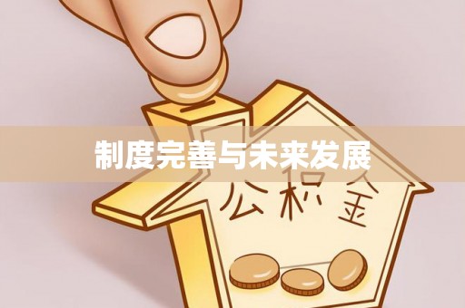 大埤制度完善与未来发展