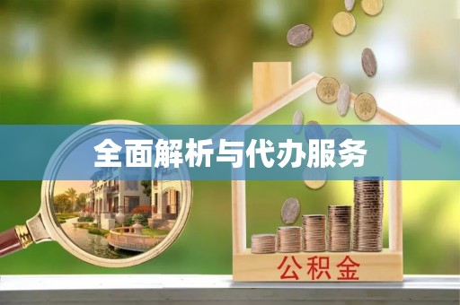大埤全面解析与代办服务