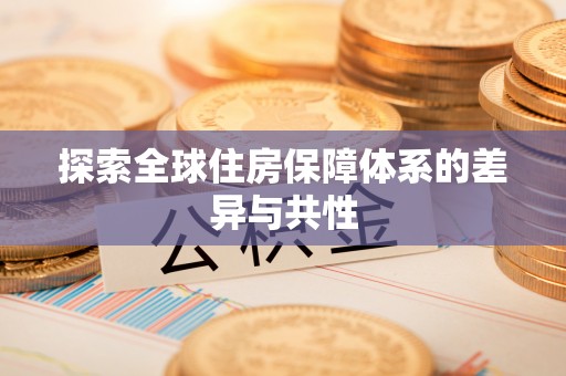 大埤探索全球住房保障体系的差异与共性