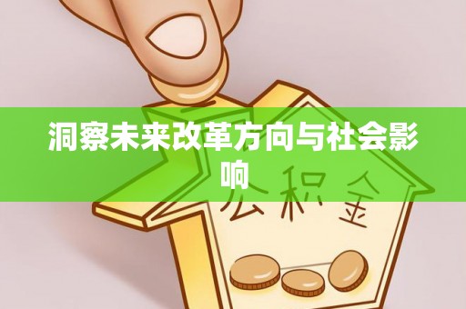 大埤洞察未来改革方向与社会影响