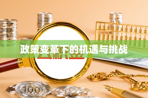 大埤政策变革下的机遇与挑战