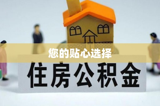 大埤您的贴心选择
