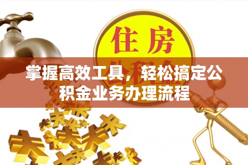 大埤掌握高效工具，轻松搞定公积金业务办理流程
