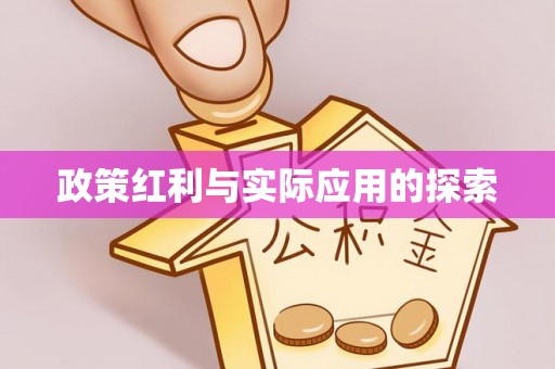 大埤政策红利与实际应用的探索