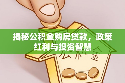 大埤揭秘公积金购房贷款，政策红利与投资智慧