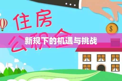 大埤新规下的机遇与挑战