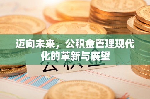 大埤迈向未来，公积金管理现代化的革新与展望