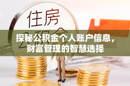 大埤探秘公积金个人账户信息，财富管理的智慧选择